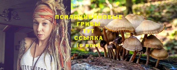 прущий лед Балабаново